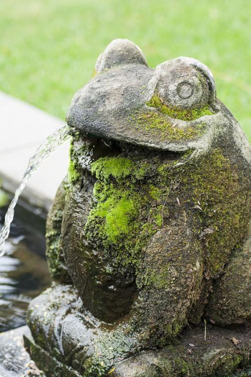 Bali Biasa Guesthouse Piet Retief Exteriör bild